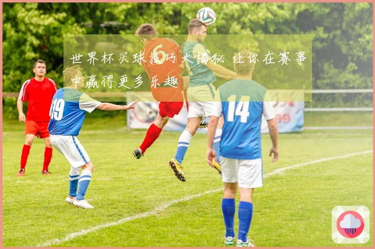 世界杯买球技巧大揭秘 让你在赛事中赢得更多乐趣