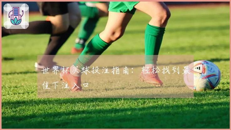 世界杯买球投注指南：轻松找到最佳下注入口