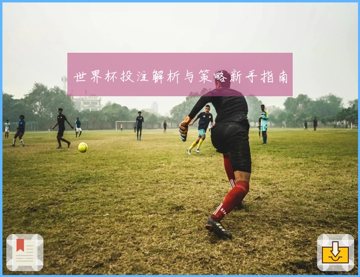 世界杯投注解析与策略新手指南